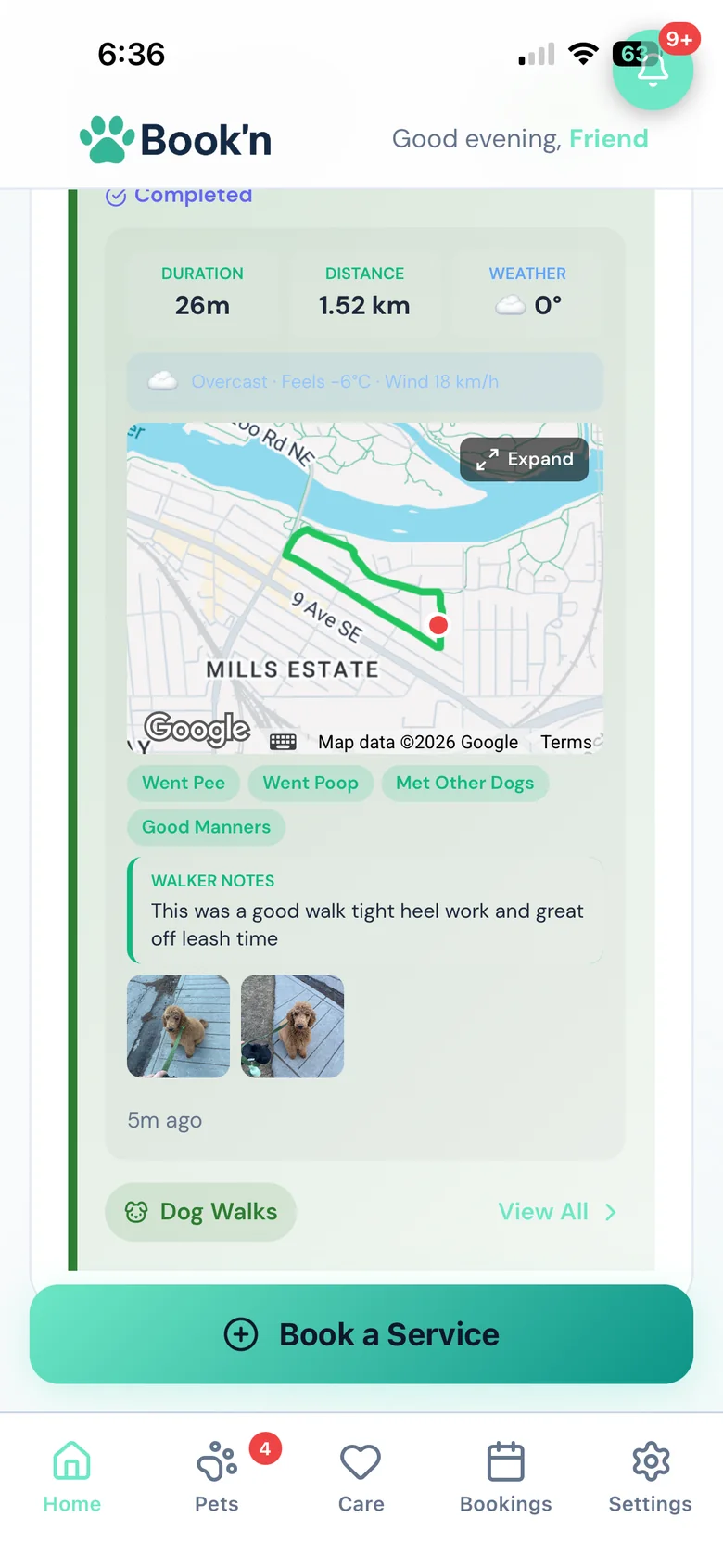 GPS walks & pickup routes in BooknBuddy: What the owner sees screen