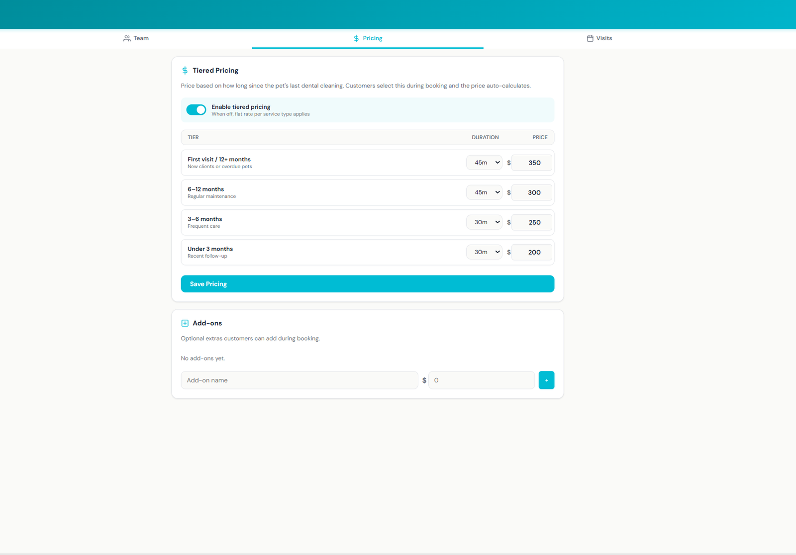 Dental Hub Pricing tab with the Tiered Pricing toggle enabled and a four-row table — First visit/12+ months at 45 min $350, 6-12 months at 45 min $300, 3-6 months at 30 min $250, Under 3 months at 30 min $200 — plus an Add-ons section underneath