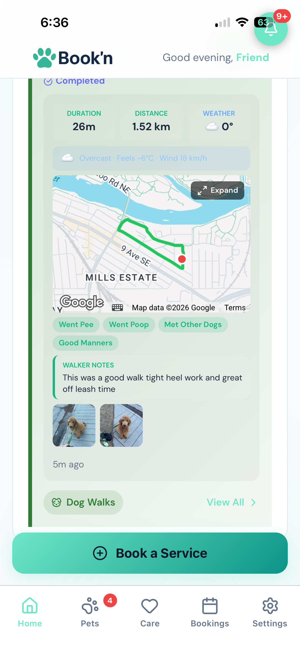 Customer app showing a completed dog walk report with duration, distance, weather, route map, walk-note chips, the walker's comments, two photos and a Book a Service button